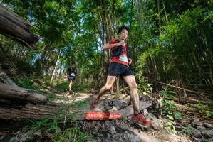 BIB: 
                            <button type="button" onclick="openModal(19387275)" class="btn btn-primary btn-sm float-right btn-popup" data-toggle="modal" data-target=".modal-high-quality">
                        <i class="fas fa-shopping-cart"></i> Add to Cart
                    </button>
                                            <button type="button" onclick="isThisMe(19387275, true)" class="btn btn-success btn-sm float-right btn-popup btn-isme hidden" data-toggle="tooltip" data-placement="bottom" title="นี่คือรูปของคุณใช่ไหม คลิกที่นี่เพื่อเอาเข้าอัลบั้ม">
                        <i class="fas fa-plus"></i> Add to album
                    </button>
                    <button type="button" onclick="isThisMe(19387275, false)" class="btn btn-warning btn-sm float-right btn-popup btn-isnotme hidden">
                        <i class="fas fa-ban"></i> Remove from album
                    </button>